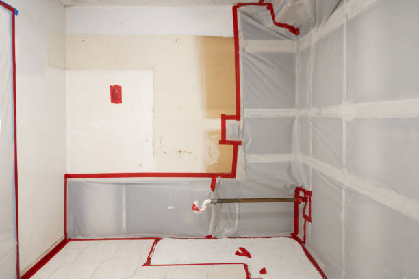 Best Air Quality Testing for Mold Spores  in New Providence, NJ