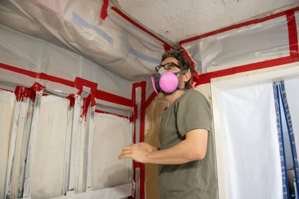 Best Industrial Mold Remediation  in New Providence, NJ