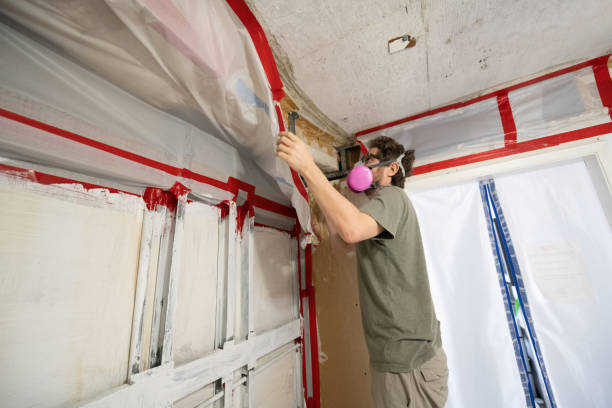 Best Mold Removal for HVAC Installations  in New Providence, NJ