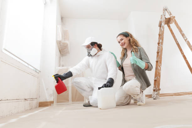 Best Basement Mold Removal  in New Providence, NJ